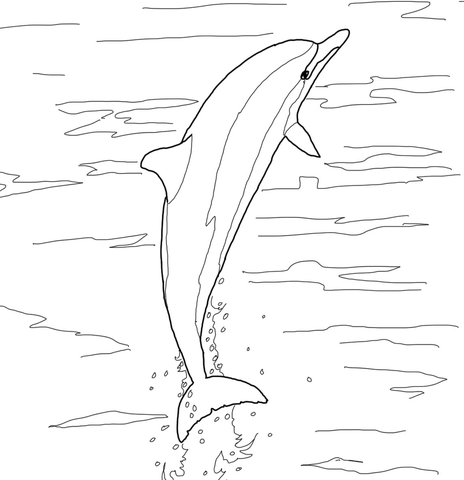 Delfin kolorowanki